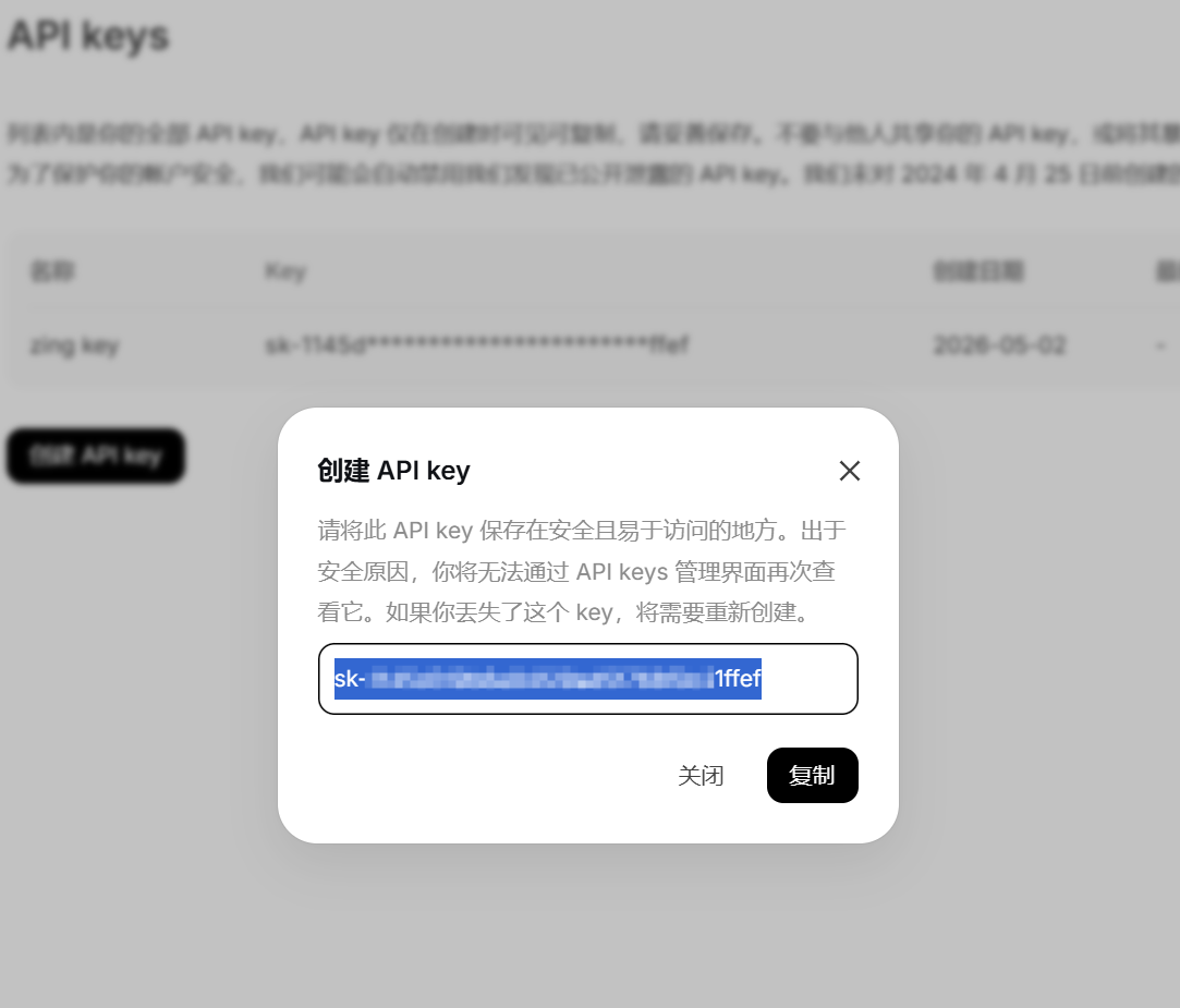 复制 sk 开头的 API Key